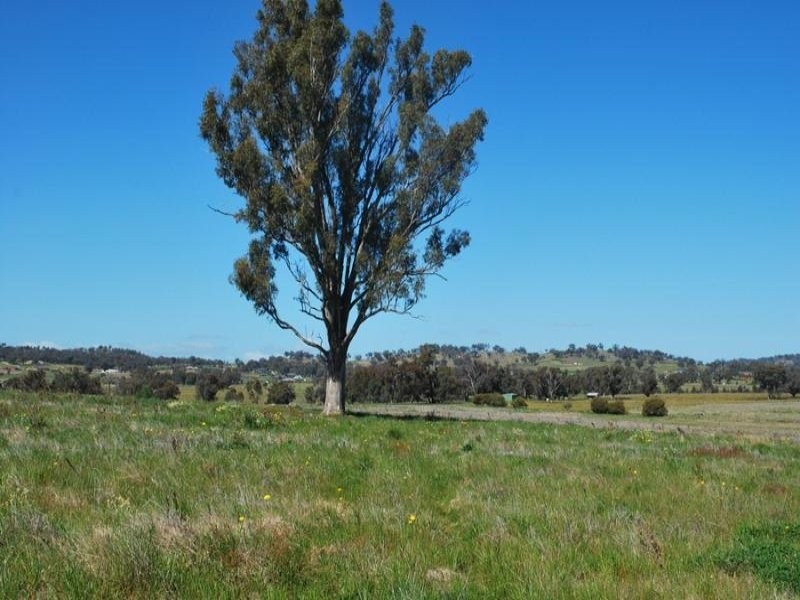 Lot 15 Marnie Road, Table Top NSW 2640