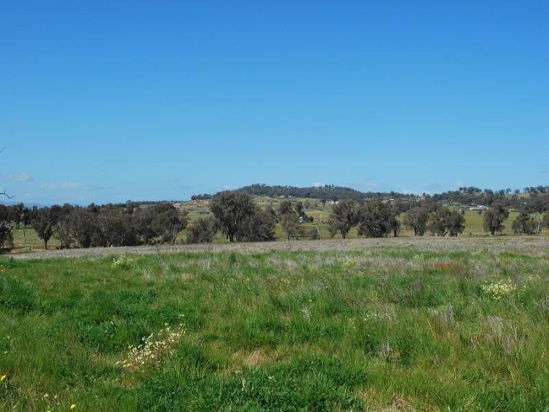 Lot 15 Marnie Road, Table Top NSW 2640