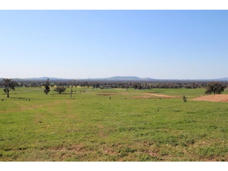 Various Coogera Circuit, Jindera NSW 2642