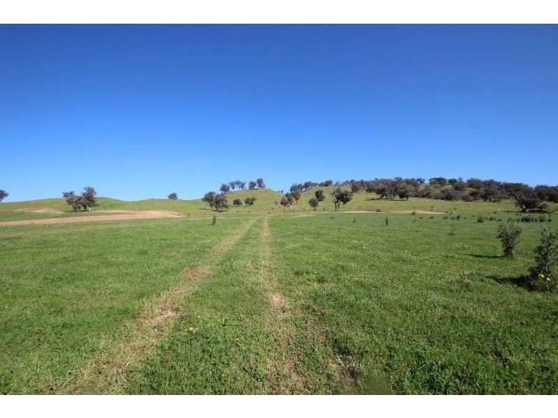 Various Coogera Circuit, Jindera NSW 2642