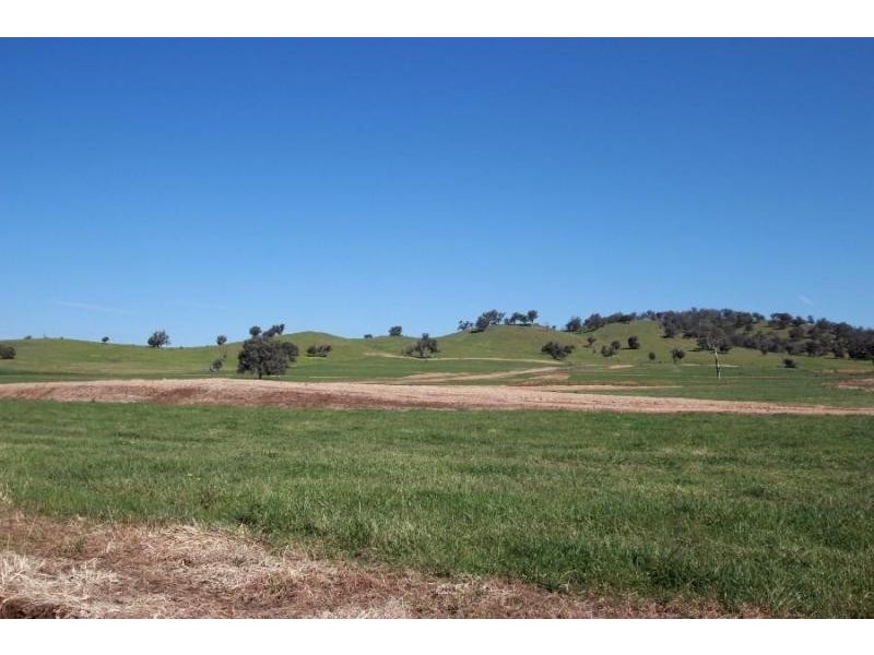 Various Coogera Circuit, Jindera NSW 2642
