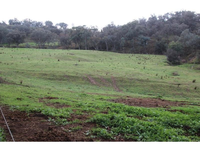 Lot 2 Lyne Street, Lavington NSW 2641