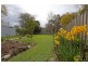 234 Walsh Street, East Albury NSW 2640
