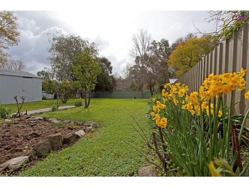 234 Walsh Street, East Albury NSW 2640