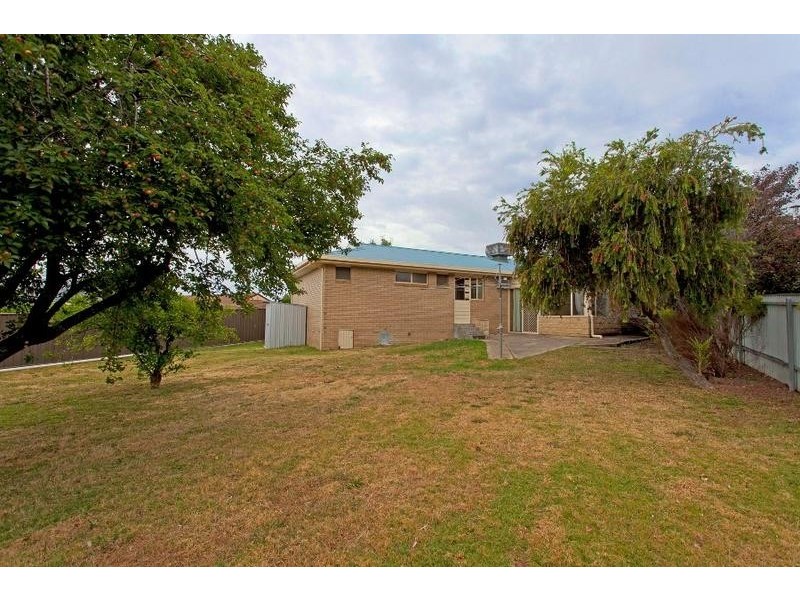 564 Cogdell Street, North Albury NSW 2640