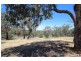 Lot 10, 17 Abbott Drive, Lavington NSW 2641