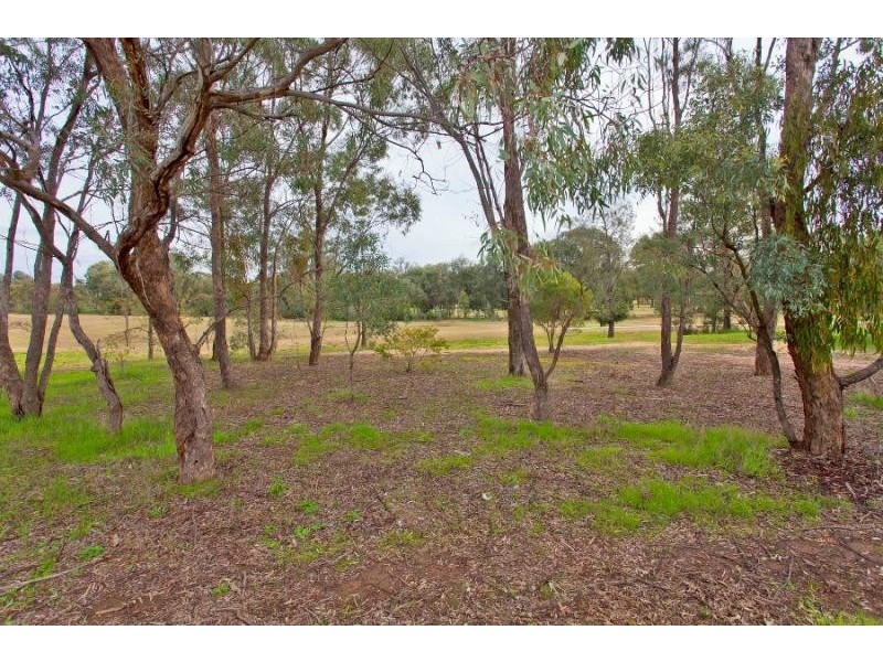 3 Bolger Court, Thurgoona NSW 2640