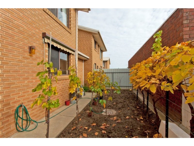 14/413 Bevan Street, Lavington NSW 2641