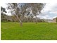 34 Baranbale Way, Springdale Heights NSW 2641