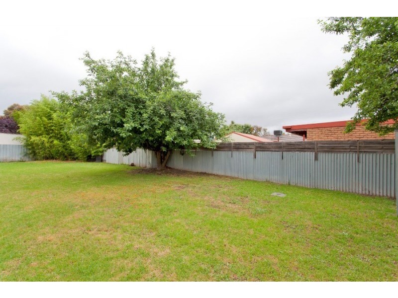 564 Greyfern Court, Lavington NSW 2641