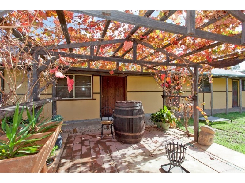 215 Andrews Street, East Albury NSW 2640