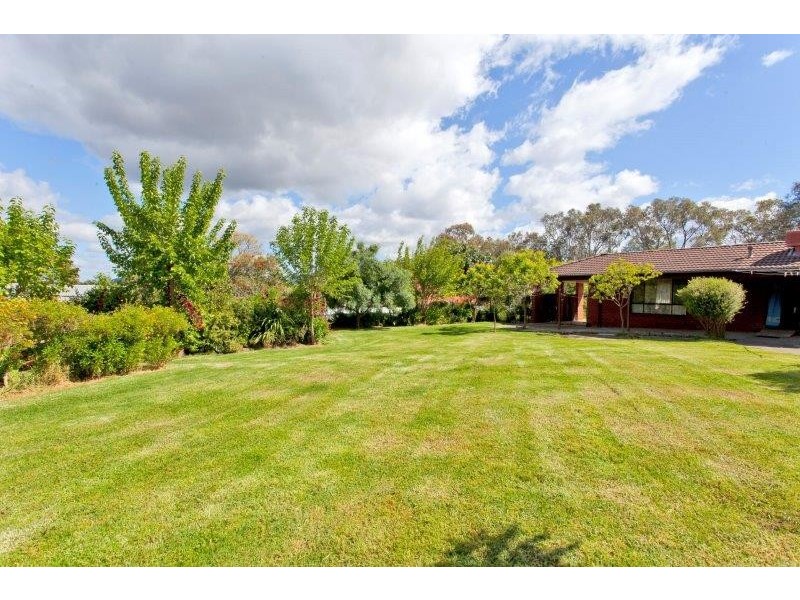 869 Padman Drive, West Albury NSW 2640
