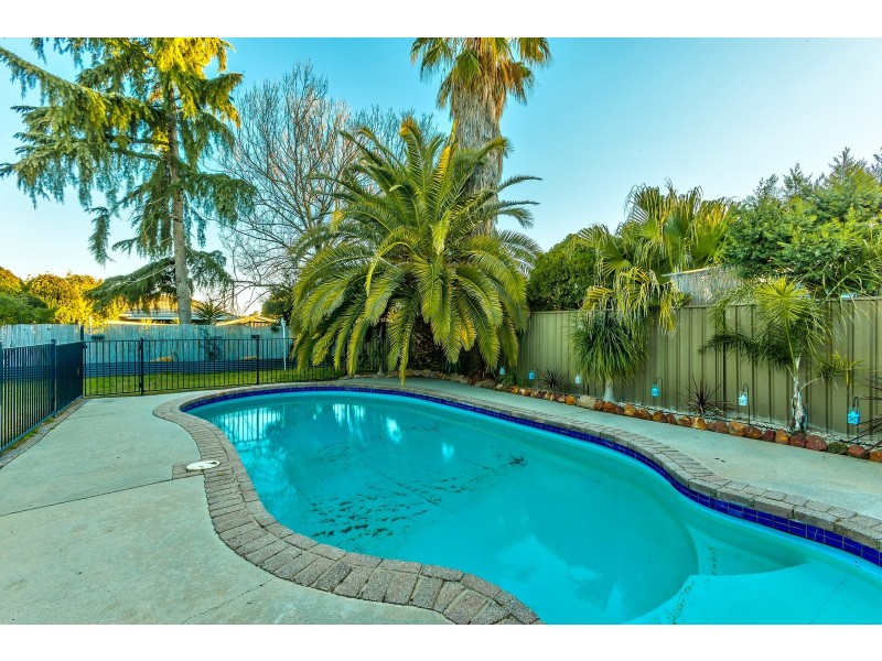 149 Boronia Street, North Albury NSW 2640