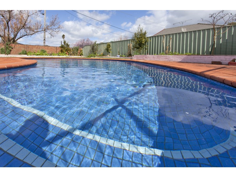 507 Iluka Crescent, Lavington NSW 2641