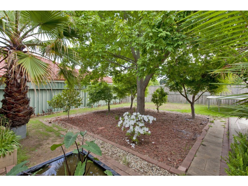 31 Honeysuckle Street, Thurgoona NSW 2640