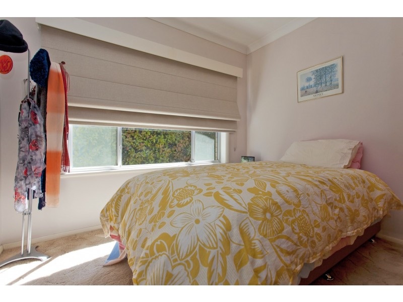 557 Hague Street, Lavington NSW 2641