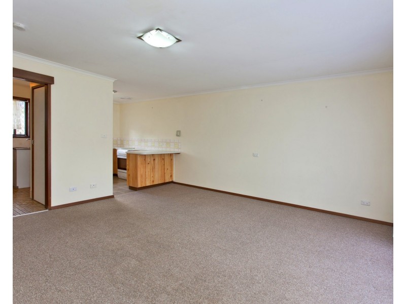 3/473 Ainslie Avenue, Lavington NSW 2641