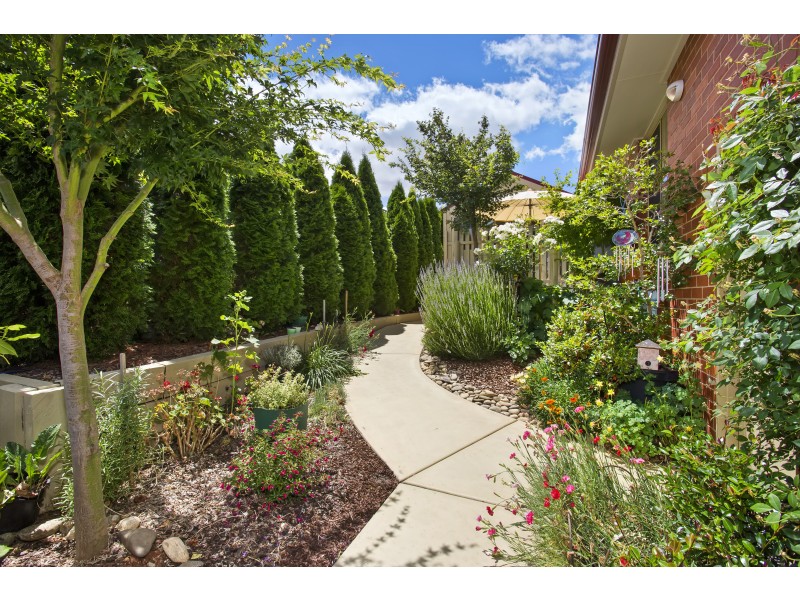 66 Honeyeater Circuit, Thurgoona NSW 2640