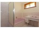 484 McKenzie Street, Lavington NSW 2641