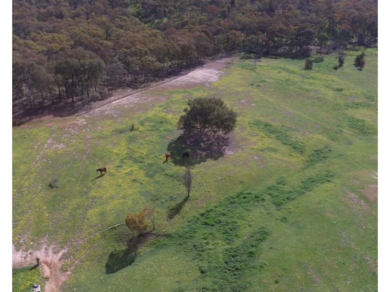 26 Thiseldo Lane, Hamilton Valley NSW 2641