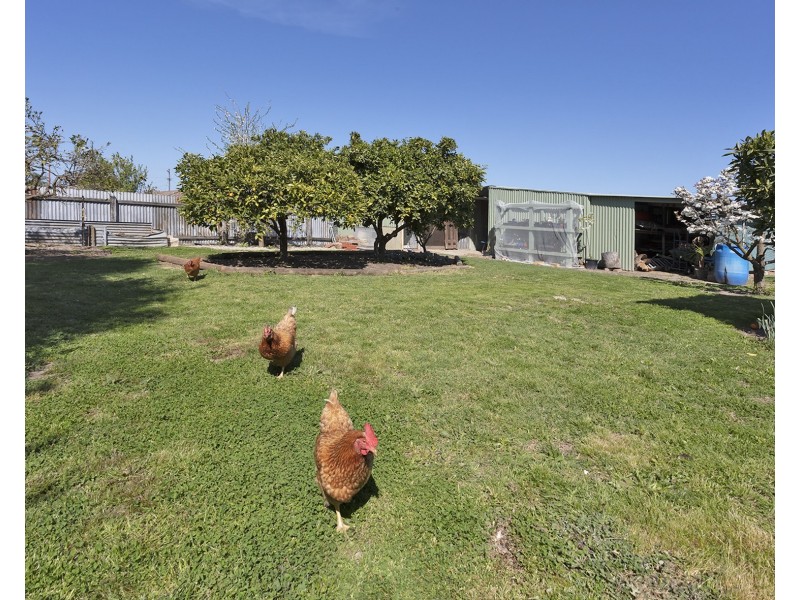 518 Kotthoff Street, Lavington NSW 2641