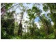 121 Obi Obi Road, Mapleton QLD 4560