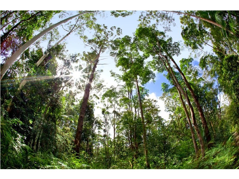 121 Obi Obi Road, Mapleton QLD 4560
