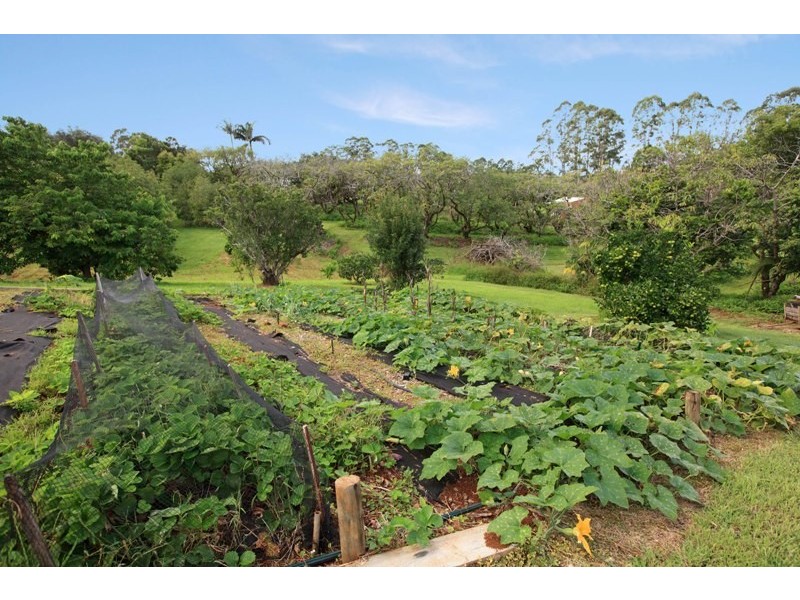 38 Flaxton Mill Road, Flaxton QLD 4560
