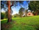 Montville QLD 4560