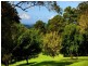 Montville QLD 4560