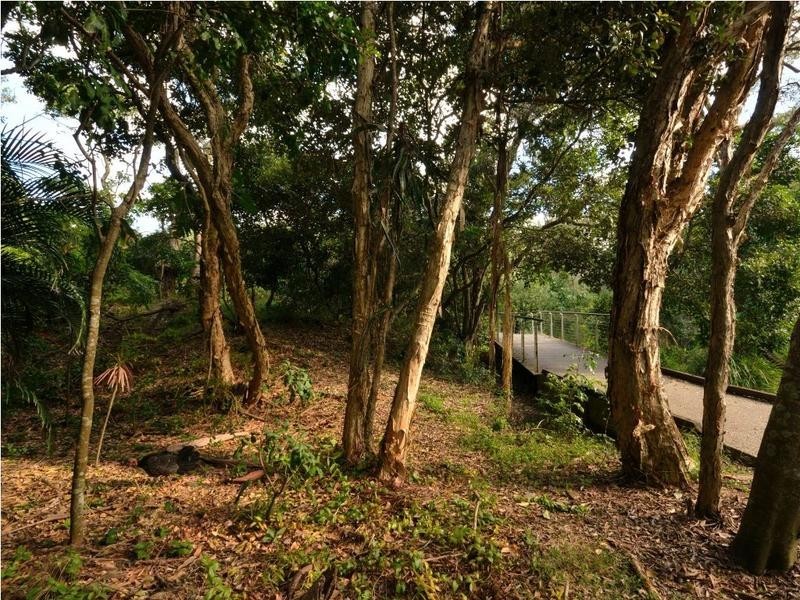 18 Holt Street, Currimundi QLD 4551