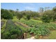 38 Flaxton Mill Road, Flaxton QLD 4560