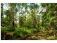 121 Obi Obi Road, Mapleton QLD 4560