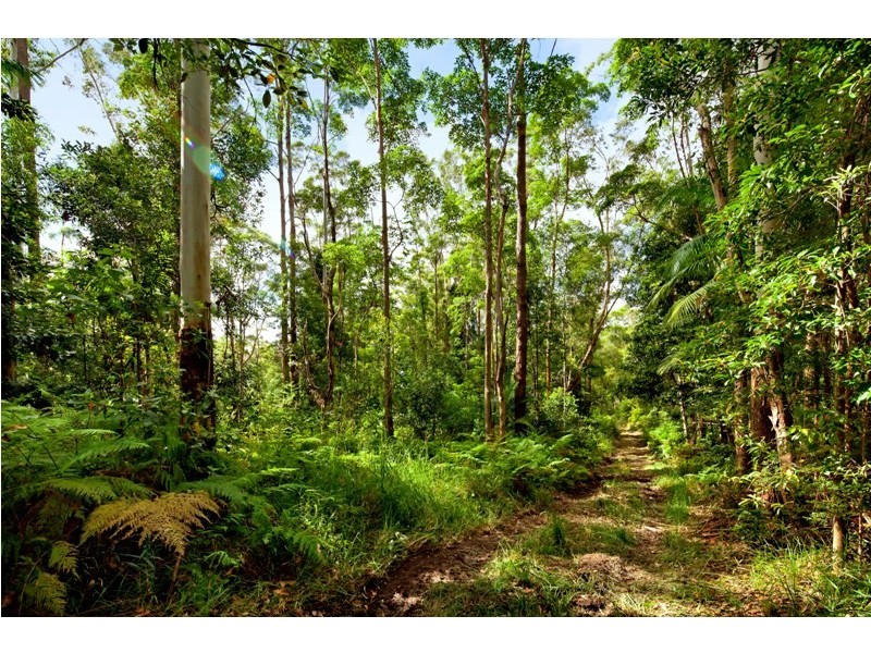 121 Obi Obi Road, Mapleton QLD 4560