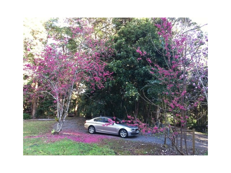 428 Western Avenue, Montville QLD 4560