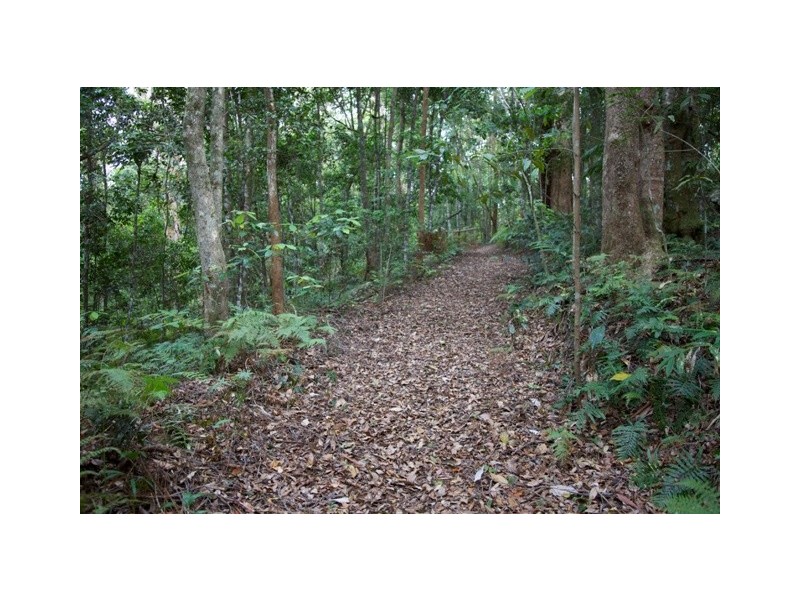 428 Western Avenue, Montville QLD 4560