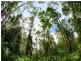 121 Obi Obi Road, Mapleton QLD 4560