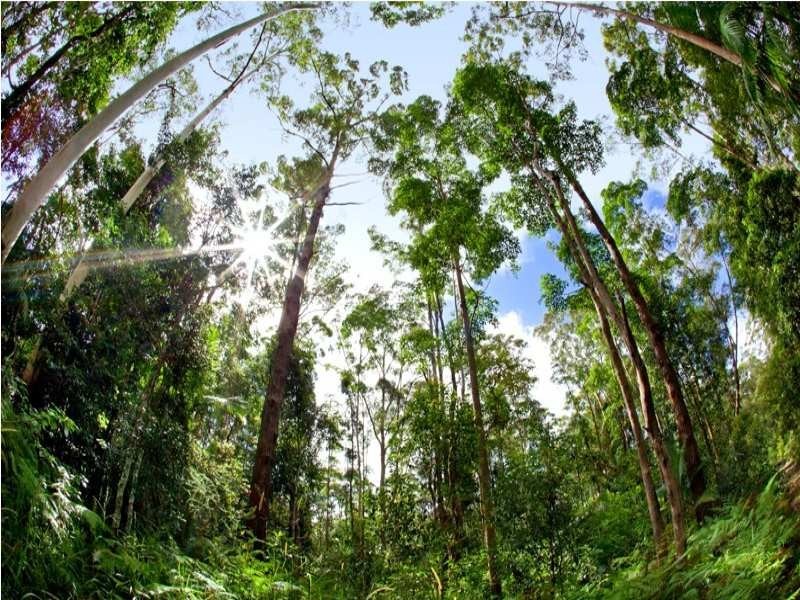 121 Obi Obi Road, Mapleton QLD 4560