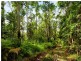 121 Obi Obi Road, Mapleton QLD 4560