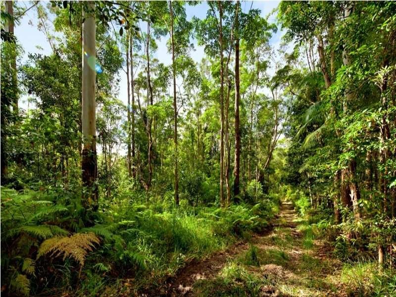 121 Obi Obi Road, Mapleton QLD 4560