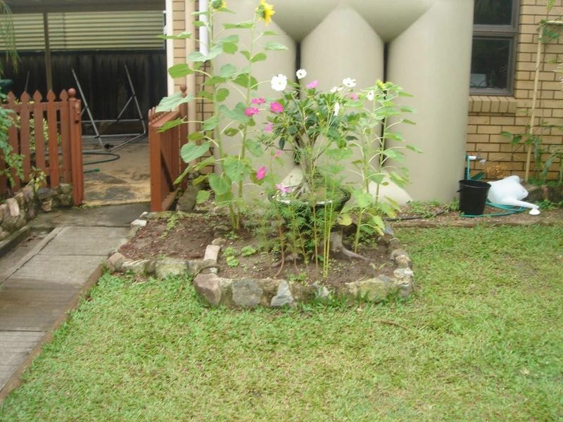 281 Nicklin Way, Warana QLD 4575