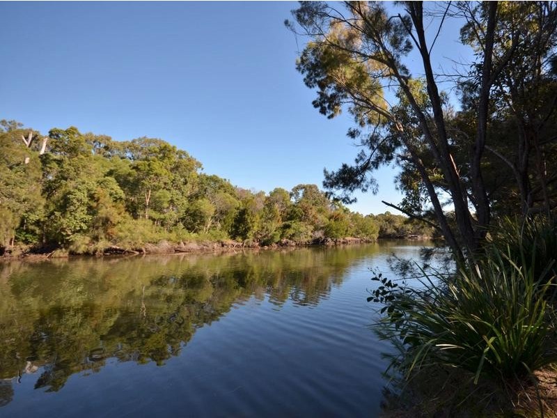 36 Boolagi Drive, Wurtulla QLD 4575