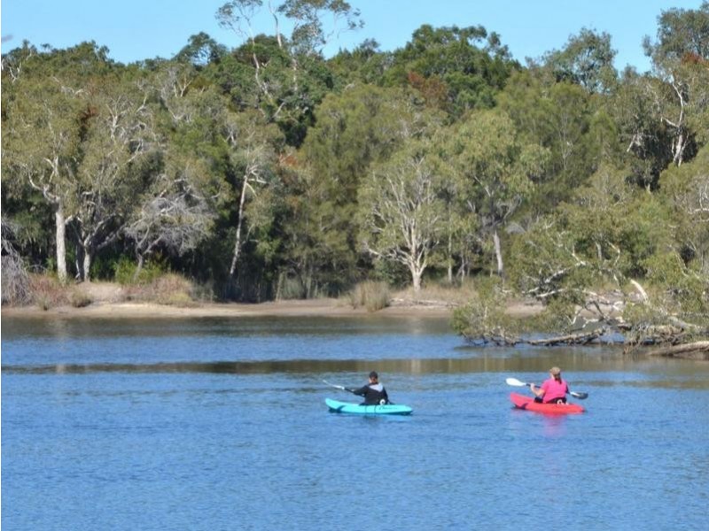 36 Boolagi Drive, Wurtulla QLD 4575