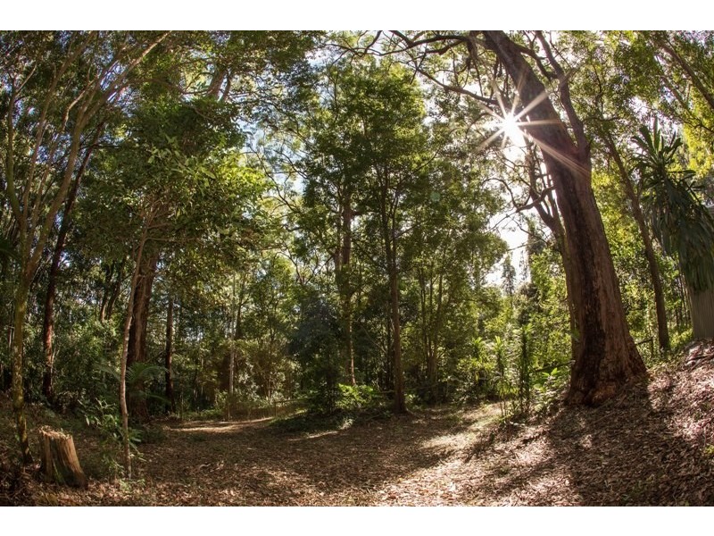 428 Western Avenue, Montville QLD 4560