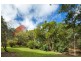 428 Western Avenue, Montville QLD 4560