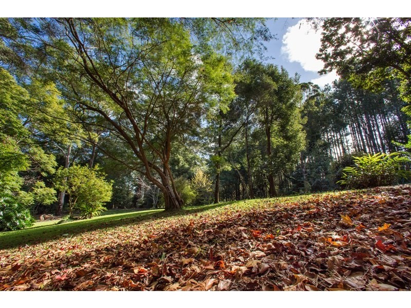 428 Western Avenue, Montville QLD 4560