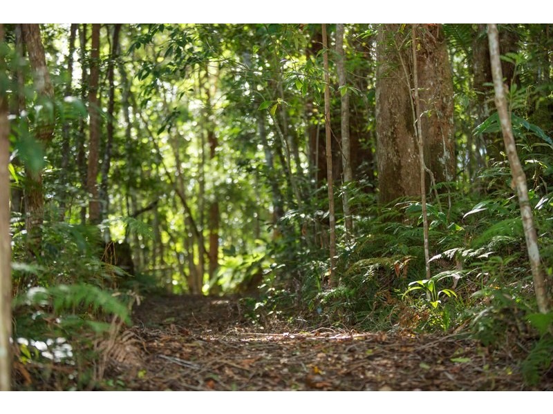 428 Western Avenue, Montville QLD 4560