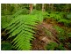 121 Obi Obi Road, Mapleton QLD 4560