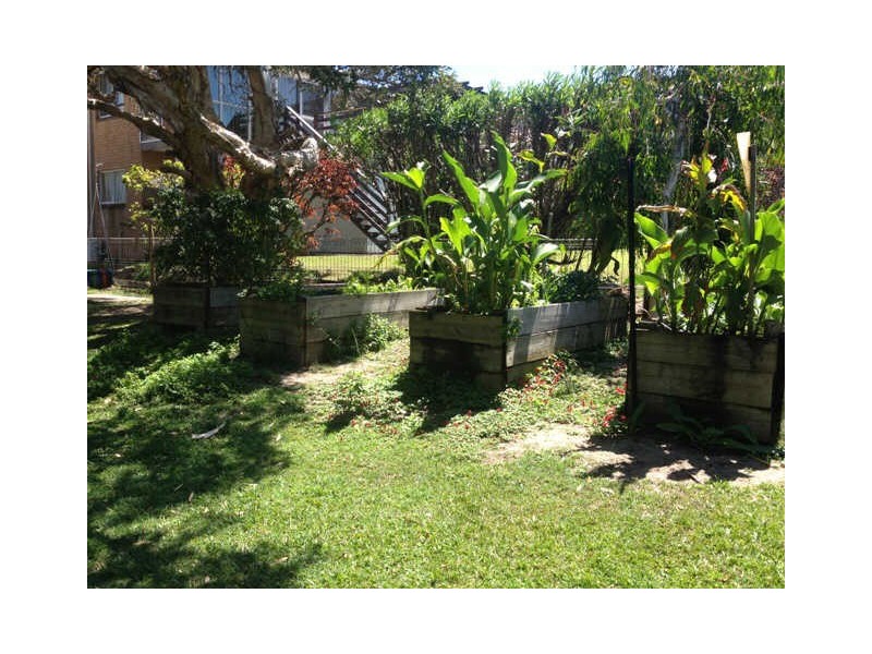 Moffat Beach QLD 4551