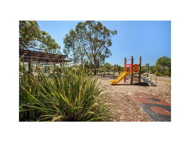15 Wilkiea Street, Meridan Plains QLD 4551